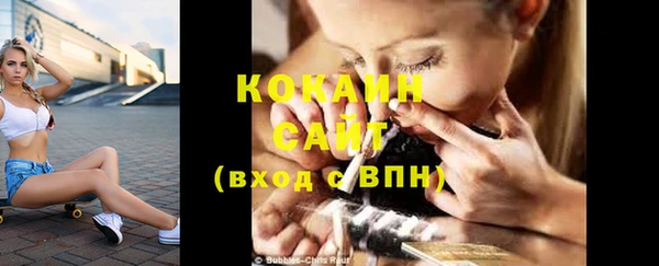ПСИЛОЦИБИНОВЫЕ ГРИБЫ Грязи