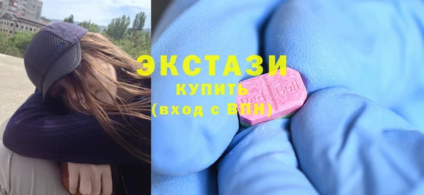 хмурый Пересвет