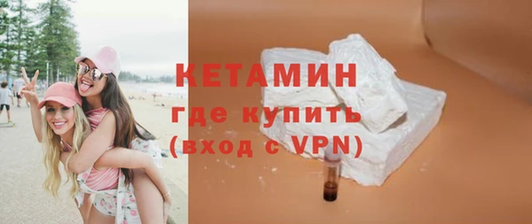 хмурый Пересвет