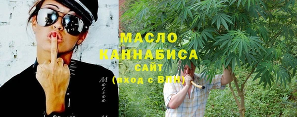хмурый Пересвет
