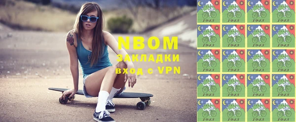 хмурый Пересвет