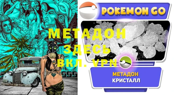 хмурый Пересвет