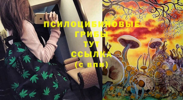 a pvp Пестово