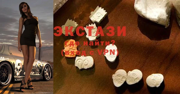 хмурый Пересвет