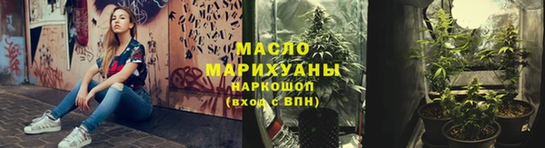 хмурый Пересвет