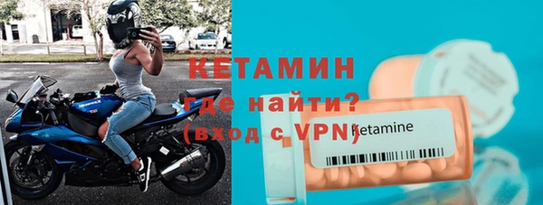 хмурый Пересвет
