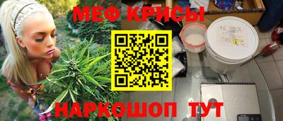 стаф Гагарин