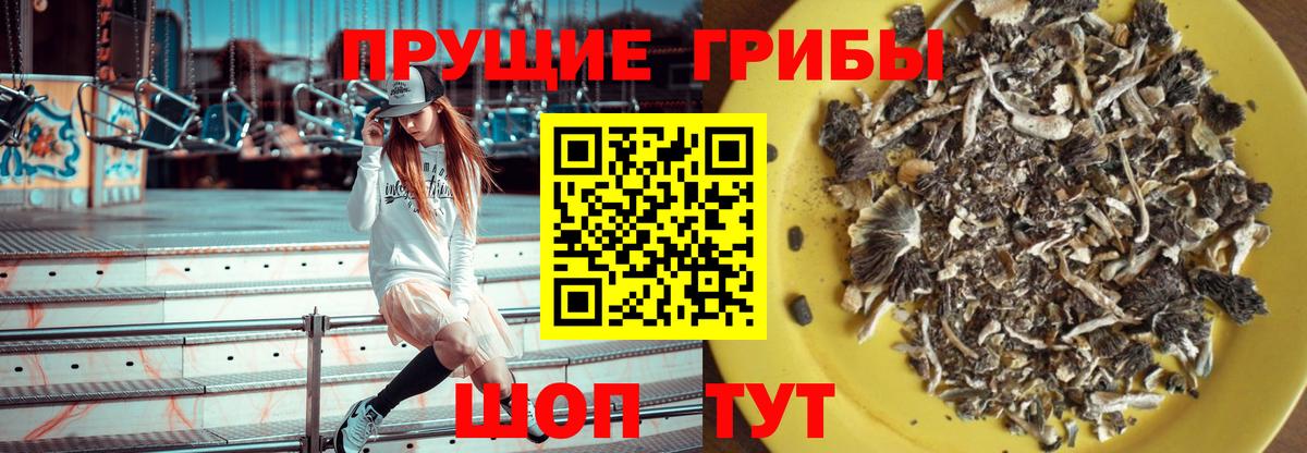 Полевской  Галлюциногенные грибы MAGIC MUSHROOMS  Вход с VPN 